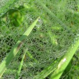 1009F 048 Goeppingen-PB